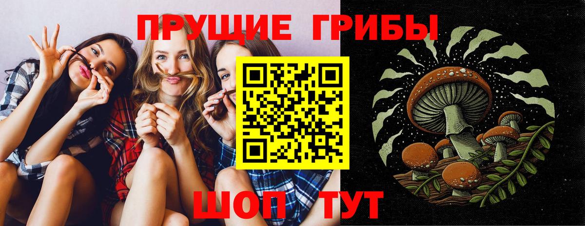 Псилоцибиновые грибы GOLDEN TEACHER Лосино-Петровский